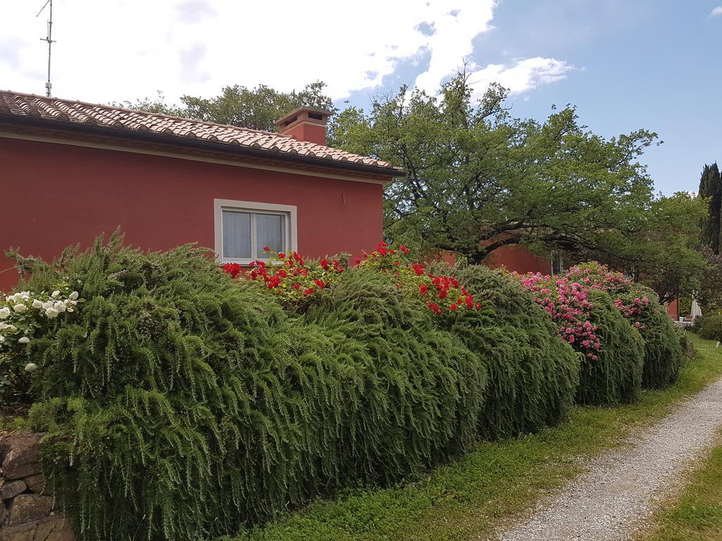 Tenuta Col Di Sasso Scarlino Exteriér fotografie