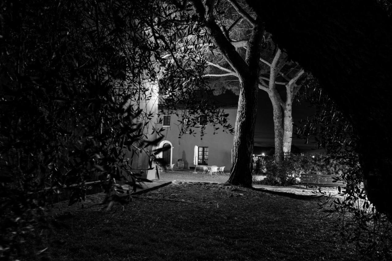 Tenuta Col Di Sasso Scarlino Exteriér fotografie
