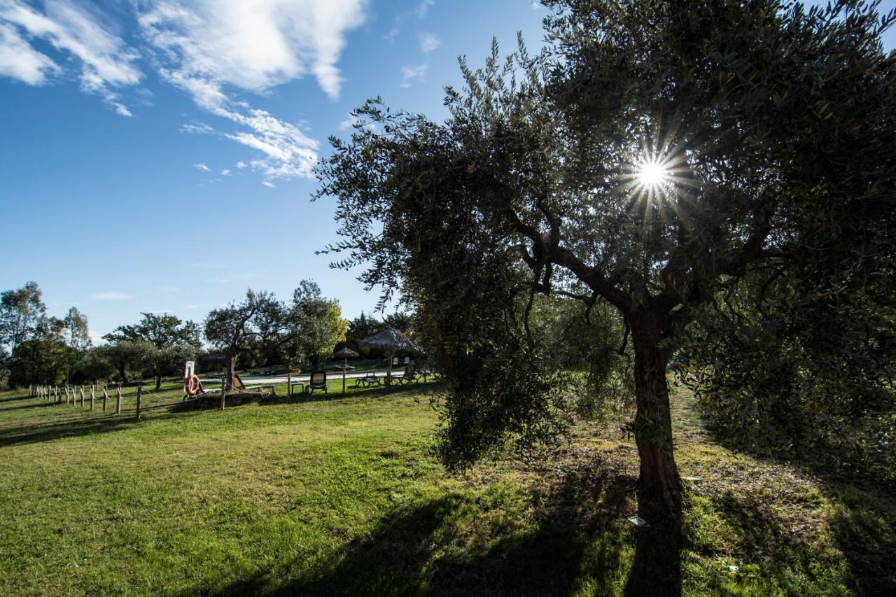 Tenuta Col Di Sasso Scarlino Exteriér fotografie