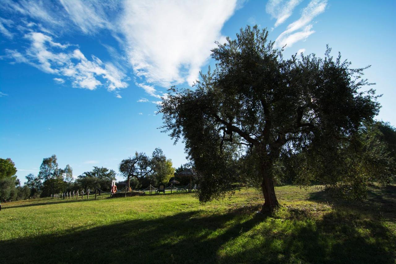 Tenuta Col Di Sasso Scarlino Exteriér fotografie